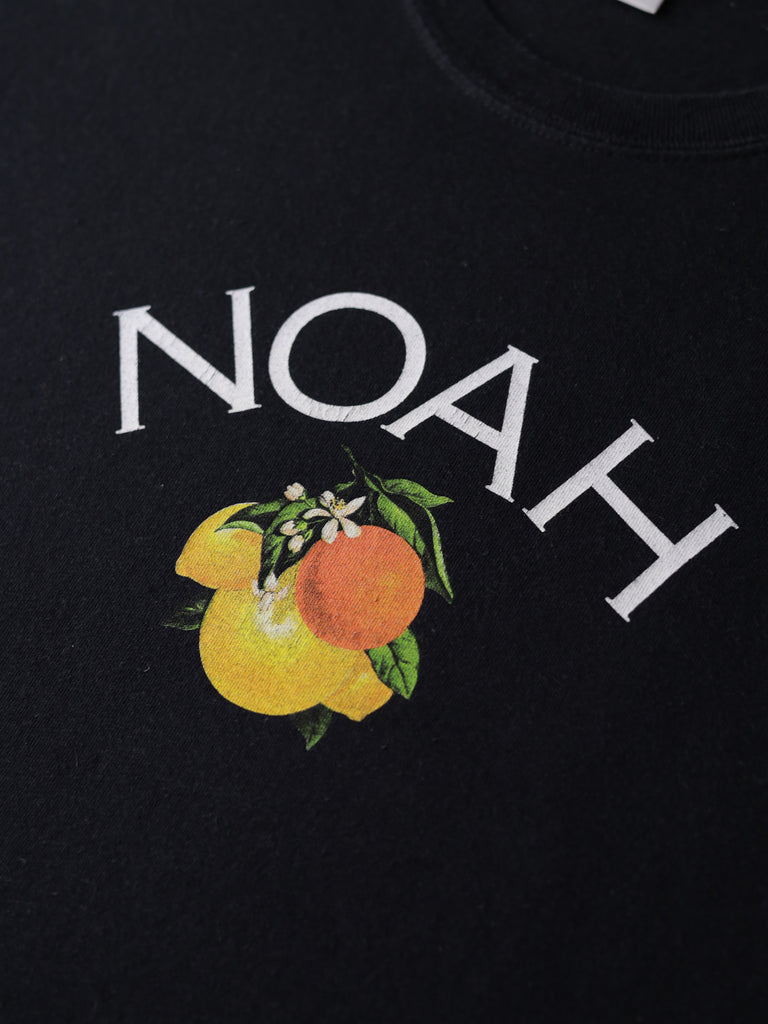 Noah - Fruit Graphic T-Shirt