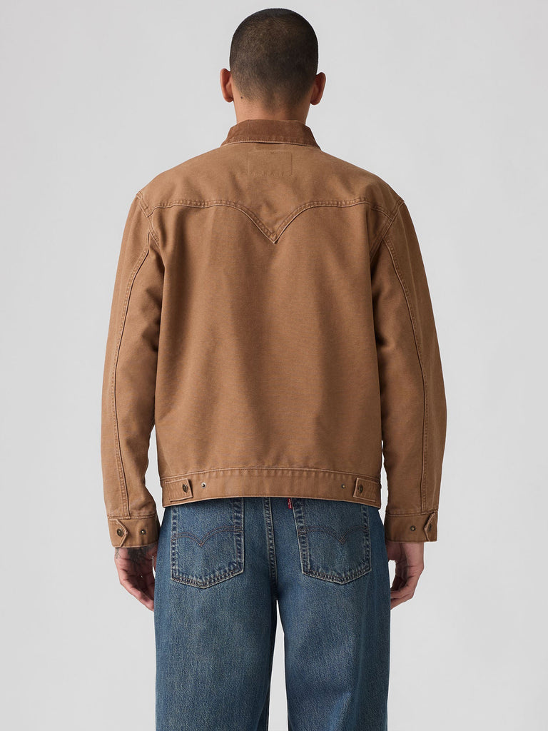 Western Shorthorn Trucker