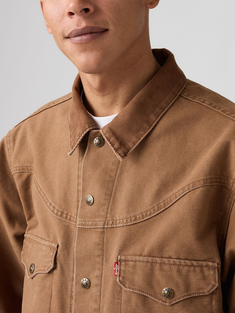 Western Shorthorn Trucker